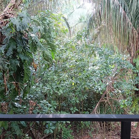 Selva Linda Lodge Vacation Rentals Quepos Ngoại thất bức ảnh