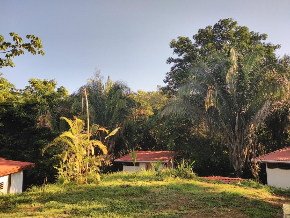 Selva Linda Lodge Vacation Rentals Quepos Ngoại thất bức ảnh