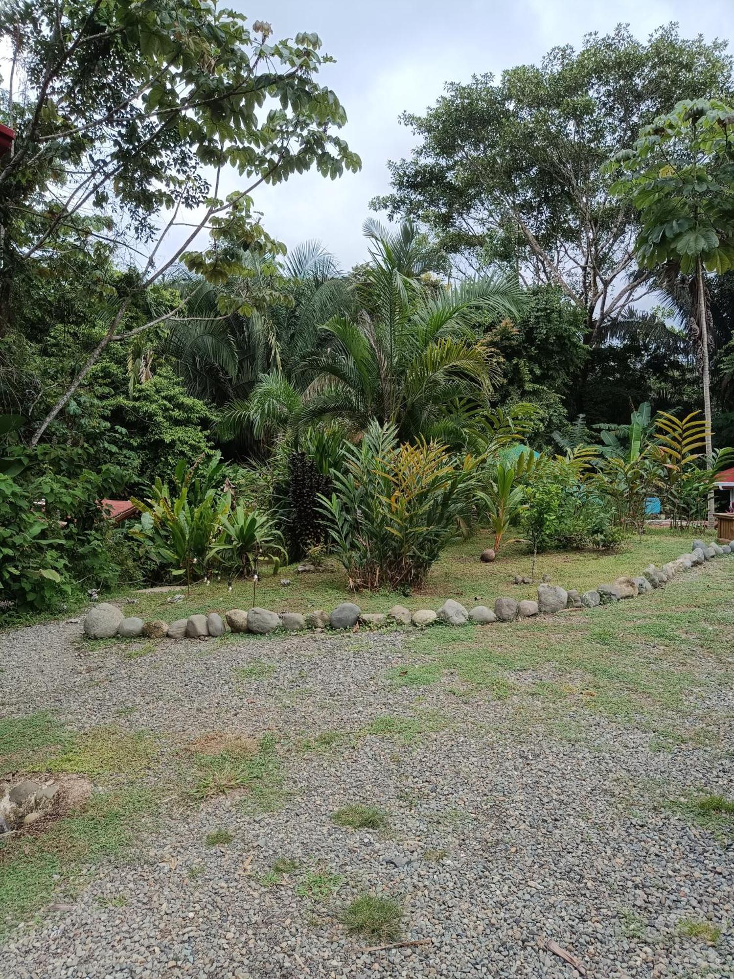 Selva Linda Lodge Vacation Rentals Quepos Ngoại thất bức ảnh