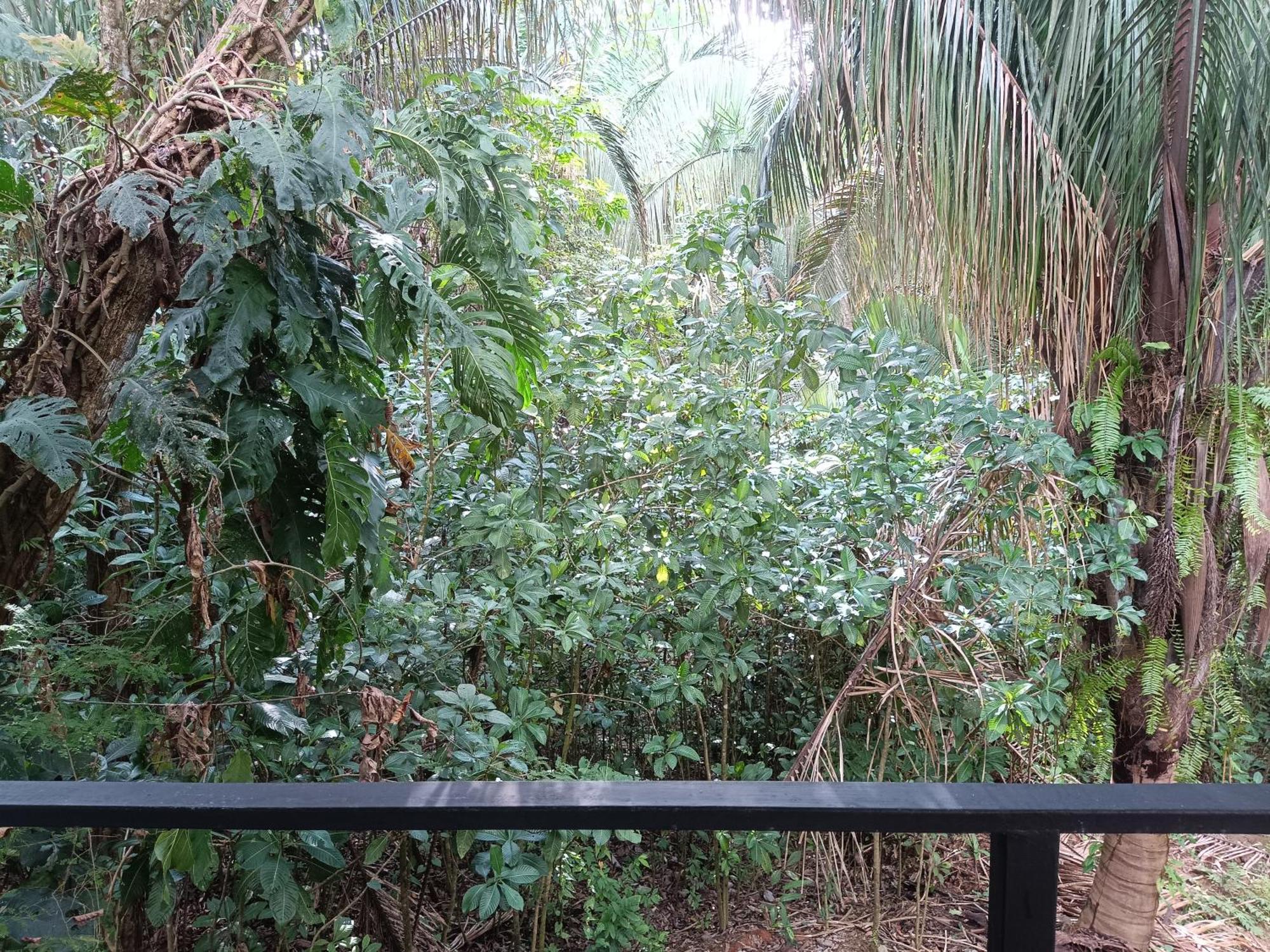 Selva Linda Lodge Vacation Rentals Quepos Ngoại thất bức ảnh