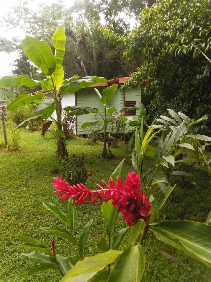 Selva Linda Lodge Vacation Rentals Quepos Ngoại thất bức ảnh