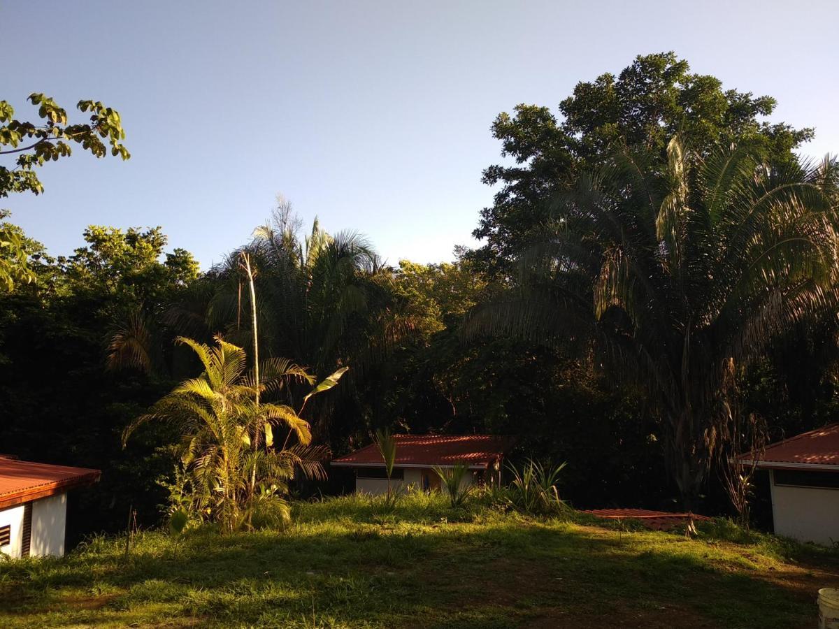 Selva Linda Lodge Vacation Rentals Quepos Ngoại thất bức ảnh